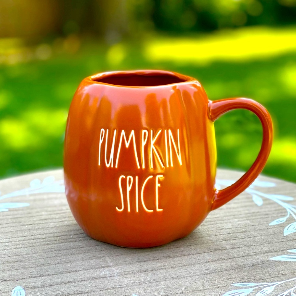Rae Dunn Orange Pumpkin Spice Kitchen Mug